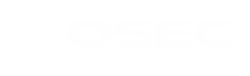 LOGO_QSEC_WEB (2)